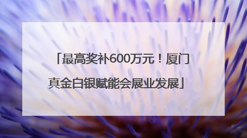 最高奖补600万元！厦门真金白银赋能会展业发展