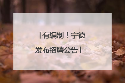 有编制！宁德发布招聘公告