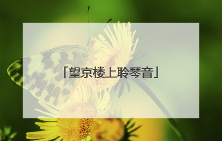 望京楼上聆琴音