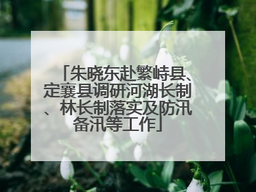 朱晓东赴繁峙县、定襄县调研河湖长制、林长制落实及防汛备汛等工作
