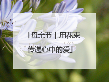 母亲节｜用花束传递心中的爱