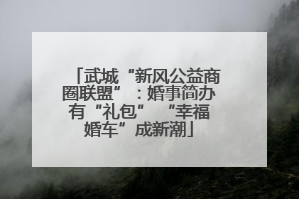 武城“新风公益商圈联盟”：婚事简办有“礼包” “幸福婚车”成新潮