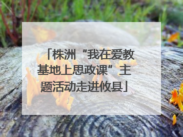 株洲“我在爱教基地上思政课”主题活动走进攸县