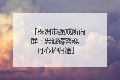 株洲市强戒所向群：忠诚铸警魂 丹心护归途