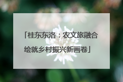 桂东东洛：农文旅融合绘就乡村振兴新画卷