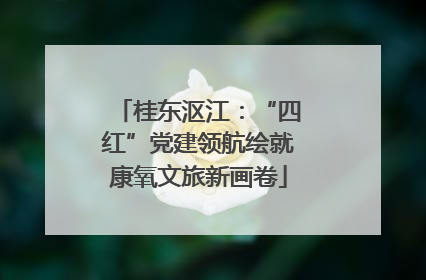 桂东沤江：“四红”党建领航绘就康氧文旅新画卷