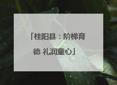 桂阳县：阶梯育德 礼润童心
