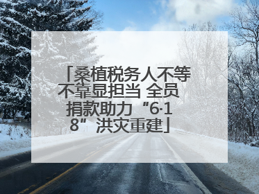 桑植税务人不等不靠显担当 全员捐款助力“6·18”洪灾重建