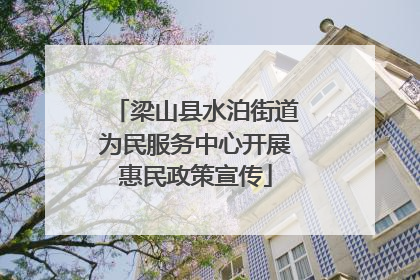梁山县水泊街道为民服务中心开展惠民政策宣传