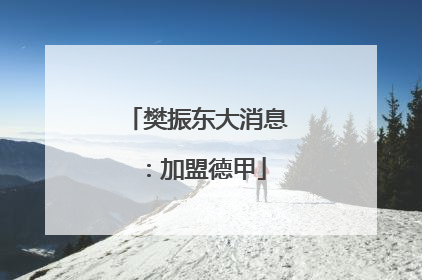 樊振东大消息：加盟德甲
