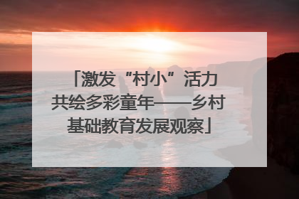 激发“村小”活力 共绘多彩童年——乡村基础教育发展观察