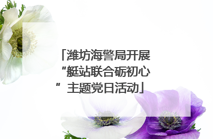 潍坊海警局开展“艇站联合砺初心”主题党日活动