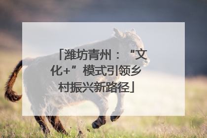 潍坊青州：“文化+”模式引领乡村振兴新路径