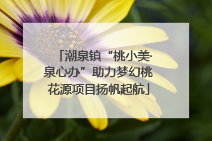 潮泉镇“桃小美·泉心办”助力梦幻桃花源项目扬帆起航
