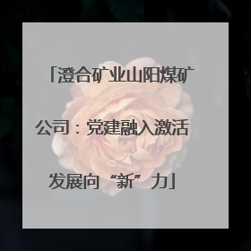 澄合矿业山阳煤矿公司：党建融入激活发展向“新”力