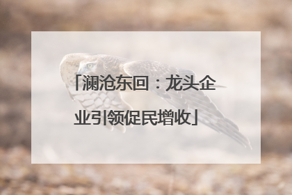 澜沧东回：龙头企业引领促民增收