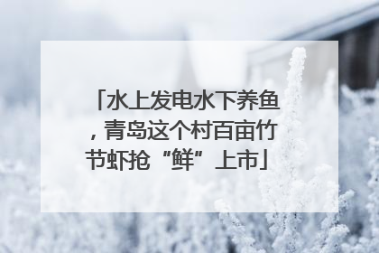 水上发电水下养鱼，青岛这个村百亩竹节虾抢“鲜”上市