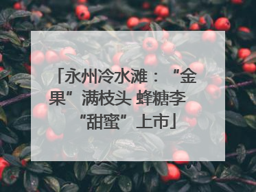 永州冷水滩：“金果”满枝头 蜂糖李“甜蜜”上市