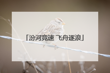 汾河竞速 飞舟逐浪