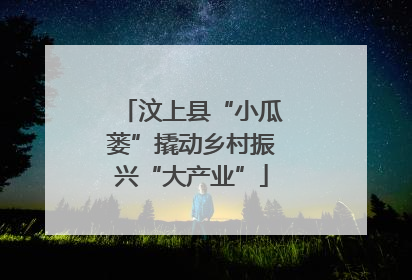 汶上县“小瓜蒌”撬动乡村振兴“大产业”