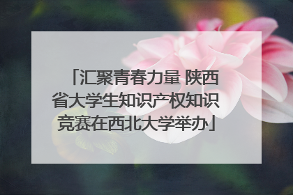 汇聚青春力量 陕西省大学生知识产权知识竞赛在西北大学举办