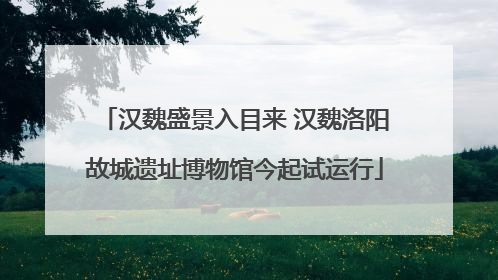 汉魏盛景入目来 汉魏洛阳故城遗址博物馆今起试运行