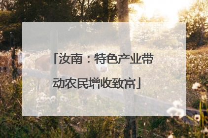 汝南：特色产业带动农民增收致富