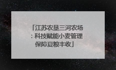 江苏农垦三河农场：科技赋能小麦管理保障夏粮丰收