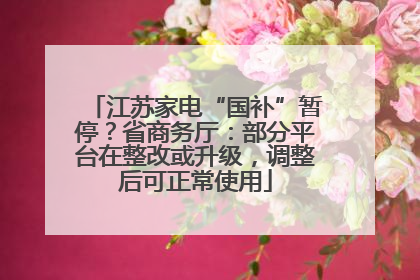 江苏家电“国补”暂停？省商务厅：部分平台在整改或升级，调整后可正常使用