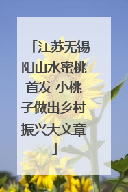 江苏无锡阳山水蜜桃首发 小桃子做出乡村振兴大文章
