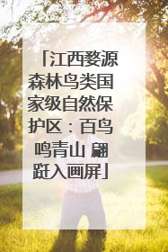 江西婺源森林鸟类国家级自然保护区：百鸟鸣青山 翩跹入画屏
