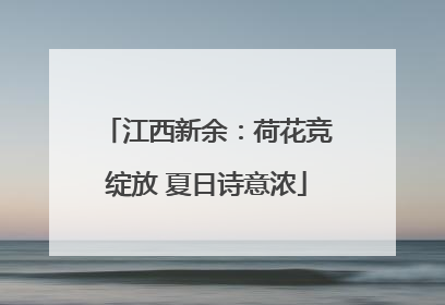 江西新余：荷花竞绽放 夏日诗意浓