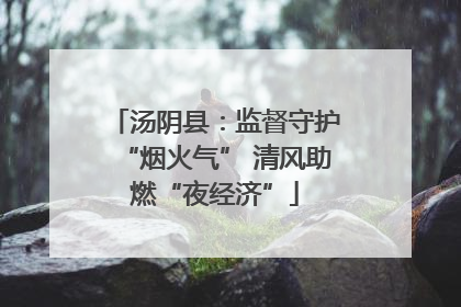 汤阴县：监督守护“烟火气” 清风助燃“夜经济”
