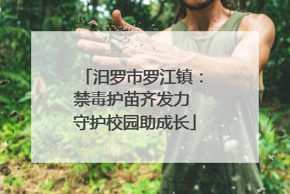 汨罗市罗江镇：禁毒护苗齐发力 守护校园助成长