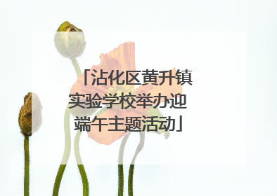 沾化区黄升镇实验学校举办迎端午主题活动