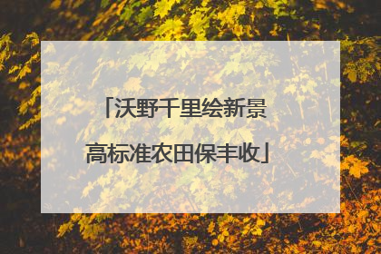 沃野千里绘新景 高标准农田保丰收