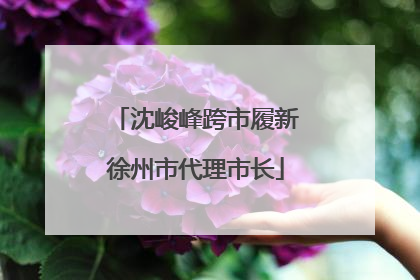 沈峻峰跨市履新徐州市代理市长