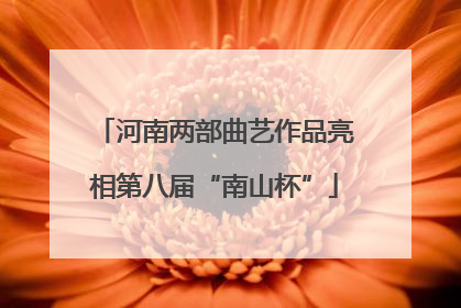 河南两部曲艺作品亮相第八届“南山杯”