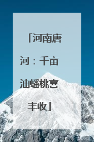 河南唐河：千亩油蟠桃喜丰收