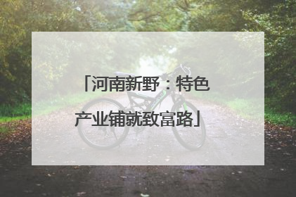 河南新野：特色产业铺就致富路