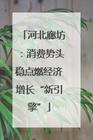 河北廊坊：消费势头稳点燃经济增长“新引擎”