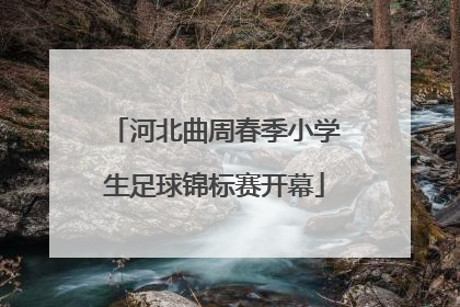 河北曲周春季小学生足球锦标赛开幕