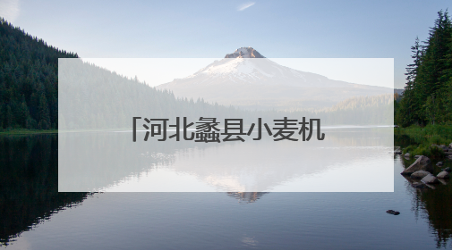 河北蠡县小麦机收率超95%