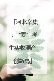 河北辛集：“麦”考生实收测产创新高