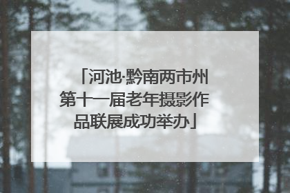 河池·黔南两市州第十一届老年摄影作品联展成功举办