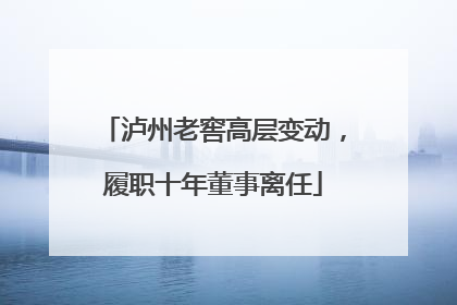 泸州老窖高层变动，履职十年董事离任