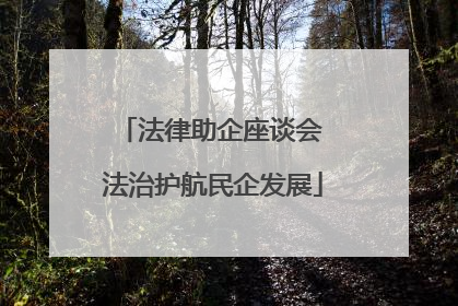 法律助企座谈会 法治护航民企发展