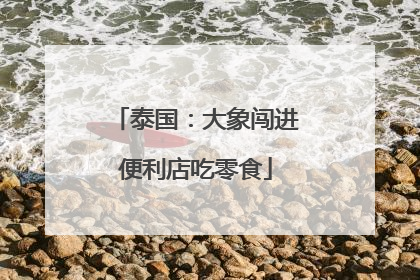 泰国：大象闯进便利店吃零食