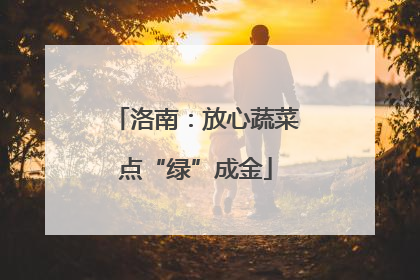 洛南：放心蔬菜点“绿”成金