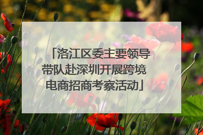 洛江区委主要领导带队赴深圳开展跨境电商招商考察活动